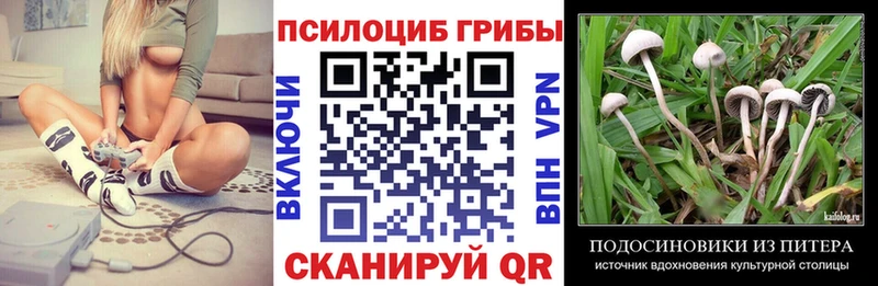 Купить закладки  Никольское  Галлюциногенные грибы GOLDEN TEACHER 