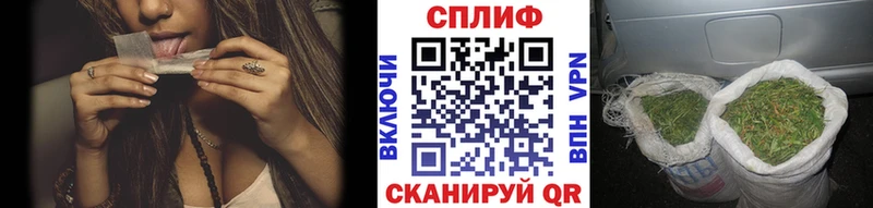Конопля планчик  Купить закладки  Никольское 